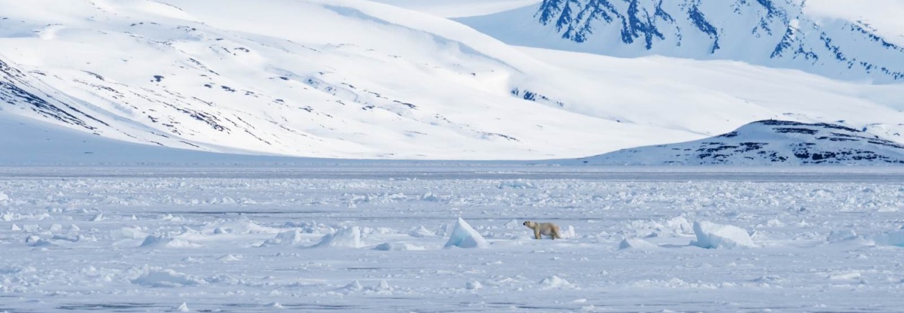 Foto: PolarQuest